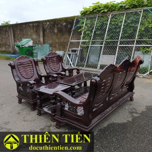 Salon Đài Loan Nâu Đen